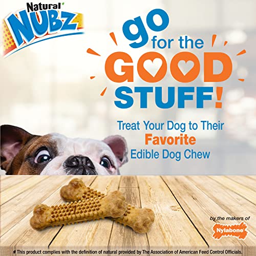 Nylabone Nubz Chicken Dog Treats I All Natural Edible Chew Treats for Dogs l Made in USA l 2 (16