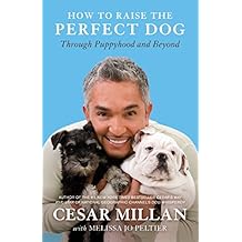 How to Raise the Perfect Dog: Through Puppyhood and Beyond