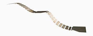 Chrischiii84 Hängebrücke für Katzen schmal, Buche massiv, 200cm - 440cm