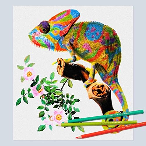 Box of colored pencils with various vibrant shades, priced at $10.98 as of August 9, 2023.