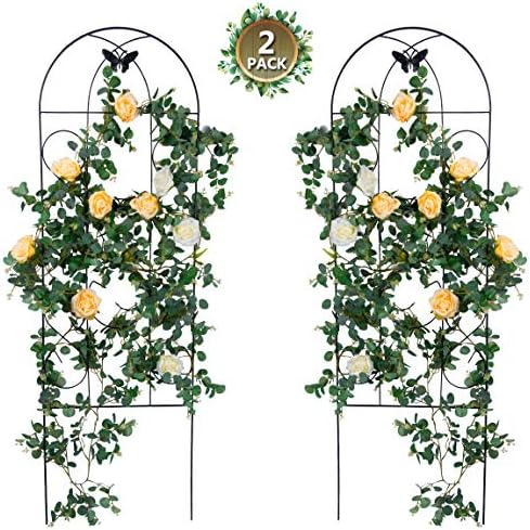 Tingyuan Garden Trellis for Climbing Plants Rustproof Black Iron Trellis for Ivy Roses Cucumbers Clematis Support, 2 Pack