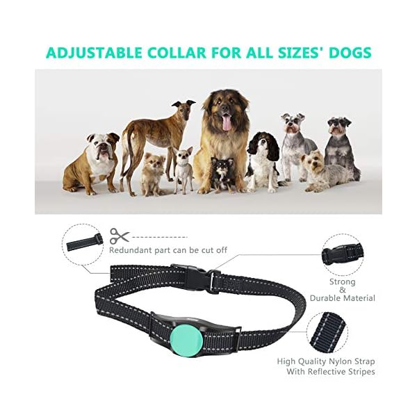 besthing dog training collar manual