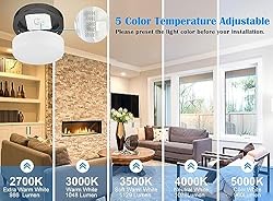 2 Pack Black Ceiling Light, 10.31 Inch LED Ceiling