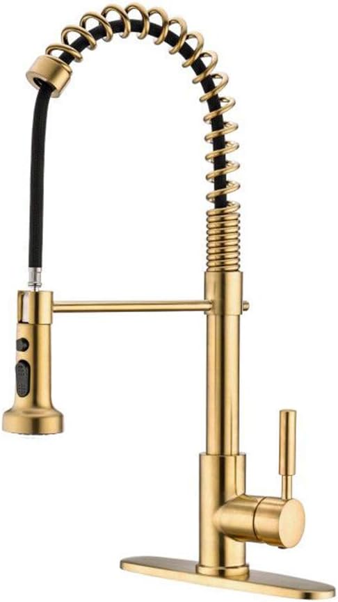 Best Kitchen Faucet Add On