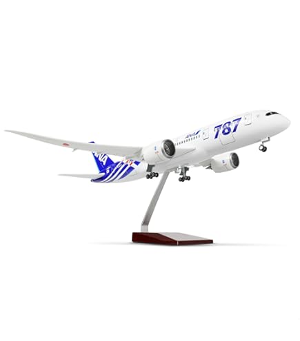 Amazon.com: Hasegawa 1/200 ANA B787-8 Plastic Model 16 : Arts