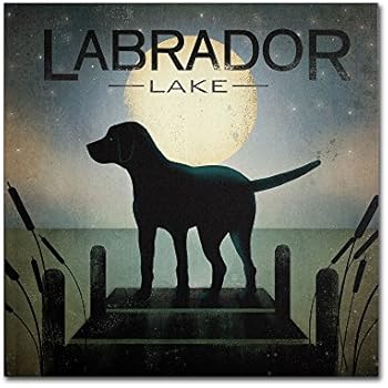 Moonrise Black Dog Labrador Lake by Ryan Fowler Wall Decor, 24 by 24-Inch Canvas Wall Art