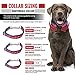 Tuff Pupper Martingale Collar for Dogs is Perfect for Training | No Pull Dog Collar with Adjustable Gentle Nylon & Steel Chain | Convenient Sizing for All Breeds