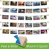 MW Photo & Artwork Display | Self Adhesive Hanging Photo Display | Modular Hanging Artwork Display | Adjustable Display for Photos | Natural Wood |10 Holders | 50 Clips | 20 ft White Twine