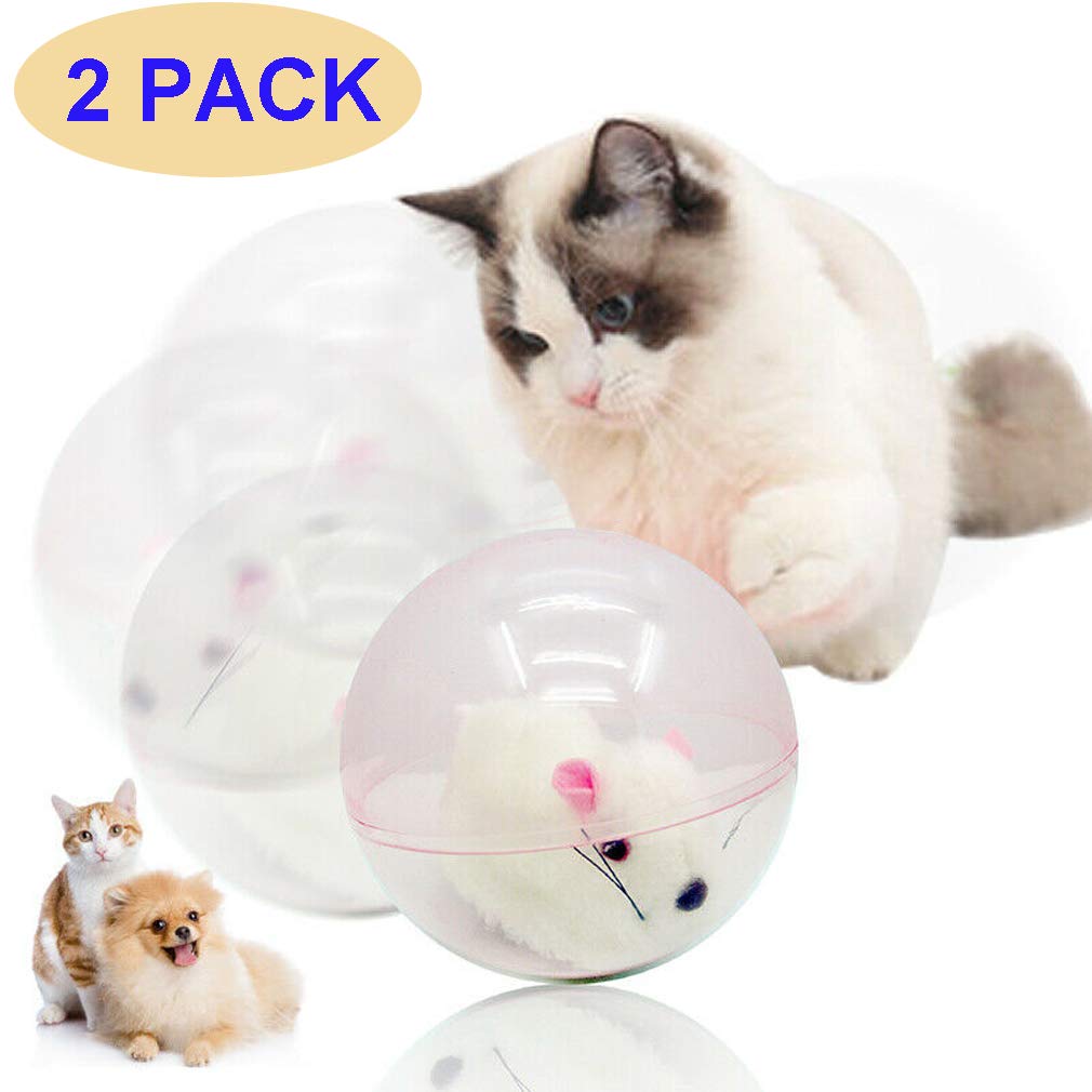 milo activation hamster