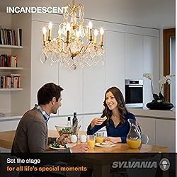 SYLVANIA Incandescent Décor Light