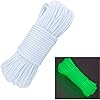Glow-in-the-Dark-Zesty-21-Strand-550-Luminous-Paracord-Parachute-Rope-Cord