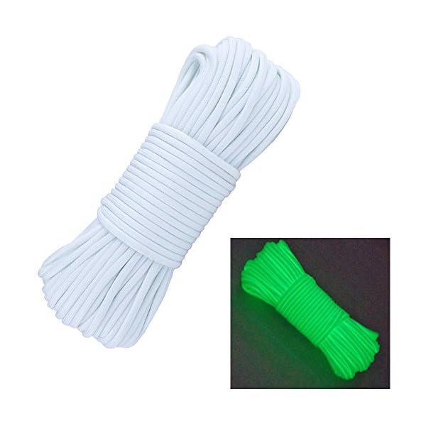 Glow-in-the-Dark-Zesty-21-Strand-550-Luminous-Paracord-Parachute-Rope-Cord