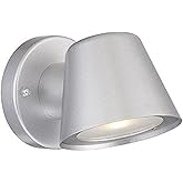 Acclaim 1404BS LED Wall Sconces Collection 1-Light Wall Mount Outdoor Light Fixture, Brushed Silver
