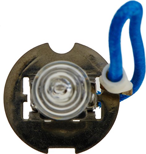 Philips H3-100W Standard Fog Bulb (Pack of 1)