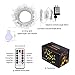 [Remote & Timer] Outdoor Globe String Lights 33Ft 100LED Cool White Fairy Twinkle Lights(3/4