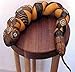 Snake Gourd 5 Seeds - Grow your own slippery snake!