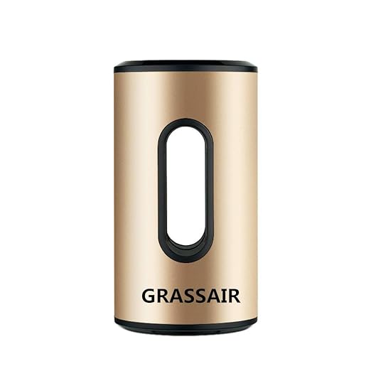 GRASSAIR Ionizador Portable O3 Desinfecta Ozono Generador ...