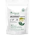 Jack Fruit Powder 100 gm - Raw Green Jackfruit Powder for a Healthy Lifestyle