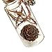 Juvale 6 Pack Festive Glass Bottles with Cork Stoppers with Jute Strings, Hanging Tree Embellishments, 6 Designs (1 x 3 x 1 In)