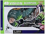 Famemaster 4D Scorpion Anatomy Model