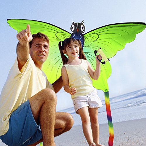Aitey Easy Fly Kite, Rainbow Butterfly Kite for Kids and Adult, One of the Best Outdoor Games and Activities, with 165" of Line and Handle - Great Beginner, Amateur Kite (Green) - Thumbnail 4