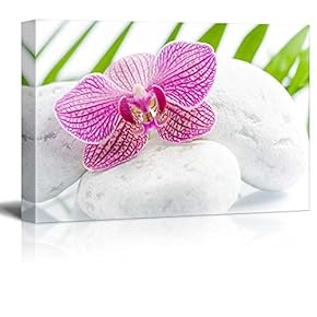 Pink Orchid Over Rocks with Palm Leaves on The Background