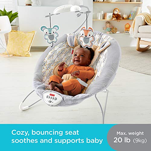 fisher price fawn meadows bouncer
