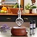Aromis Wood and Glass Aromatherapy Diffuser - Orbis Nox Telum