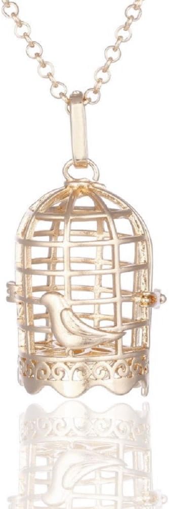 Sharefashion Women Hollow Birdcage Pendant Necklace Fragrance Oil Aromatherapy Diffuser Locket
