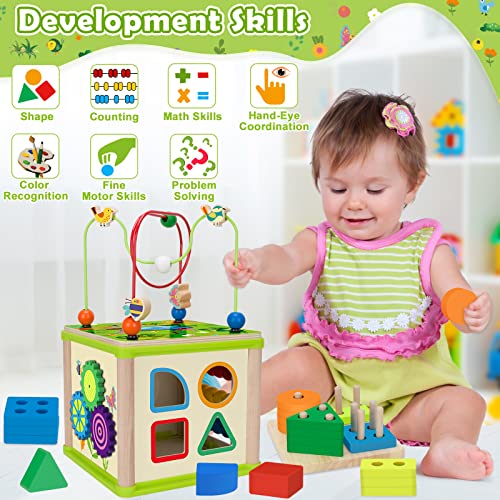 Montessori Developmental Toys for 1 Year old Boys & Girls,6in1Wooden
