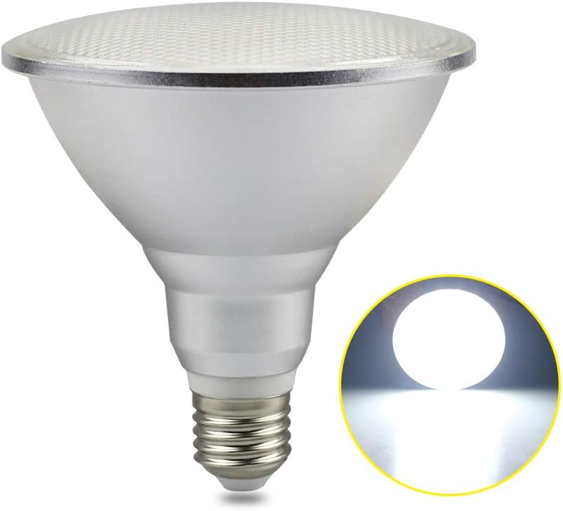 RAYWAY LED PAR38 Flood Light Bulb 100-120 Watt Replacement Bulb (Uses 20 Watts) 6000K Cold White Indoor Outdoor Spotlight for Garden Chirstmas Decor (Cold White)