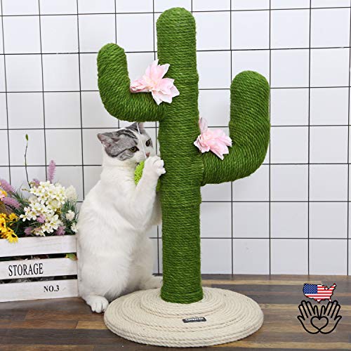 diy cactus scratching post