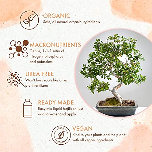 Bonsai Plant Food Organic Liquid Fertilizer Gentle Formula for Long