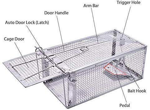 Large Animal Humane Live Cage Rat Trap for Rat, Mouse, Hamster and Other Rodents - Thumbnail 2