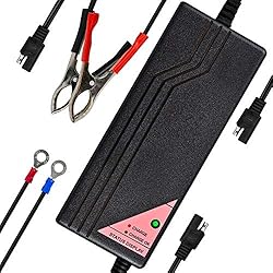 ExpertPower 12V 5A Smart Charger for Lithium