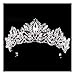 Silver Princess Crown Tiara Headband, Vintage Baroque Diadem Crown for Women + 2 Free Hair Pins (Silver)