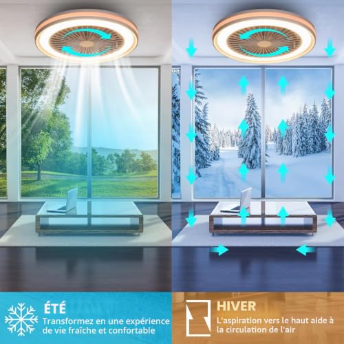 activeallbrite Ceiling fan with lighting, LED 40W, RGB 3000K-6500K, wind speed adjustable by remote control, suitable for room from 10 to 13 m2 (kitchen, living room, bedroom), Ø47 cm