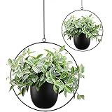 Abetree 2 Pcs Boho Metal Hanging Planters for Indoor Plants with Hooks Modern Wall and Ceiling Planter Mid Century Minimalist Flower Pot Hold Planter for Outdoor Plants Home Decor(Black)