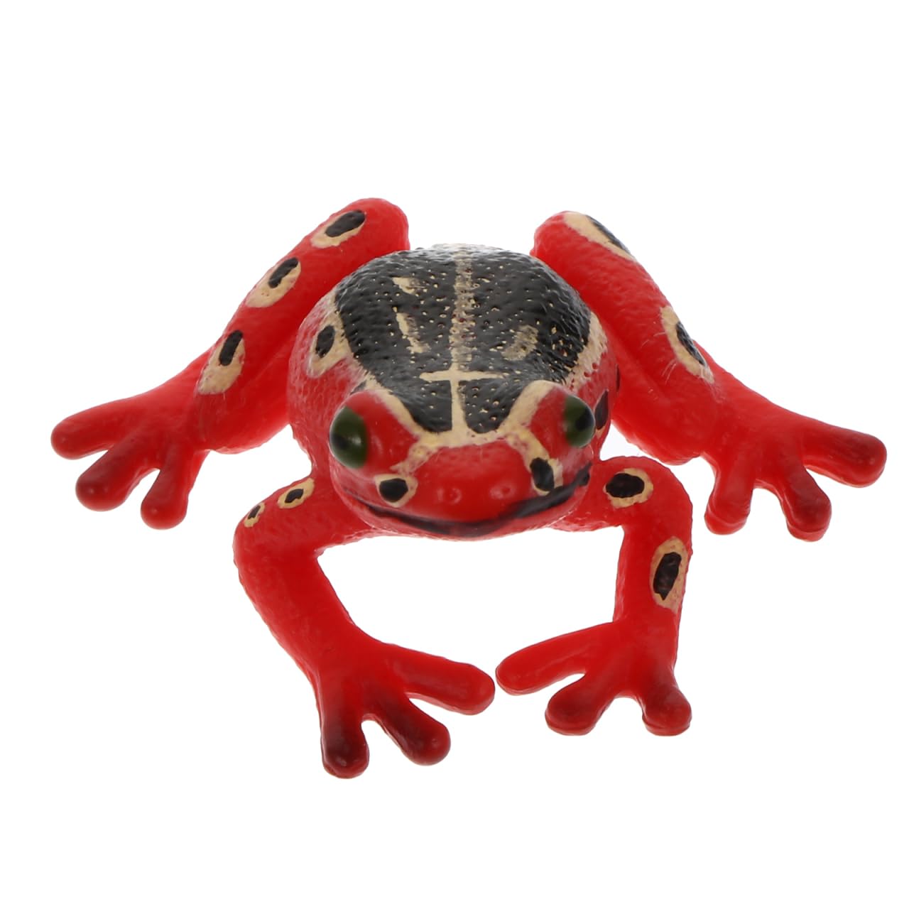 TOYANDONA Educational Amphibian Models Animal Toy Figures for Kids Collectible Action Figures Realistic Plastic Frog Miniature Indoor Decoration