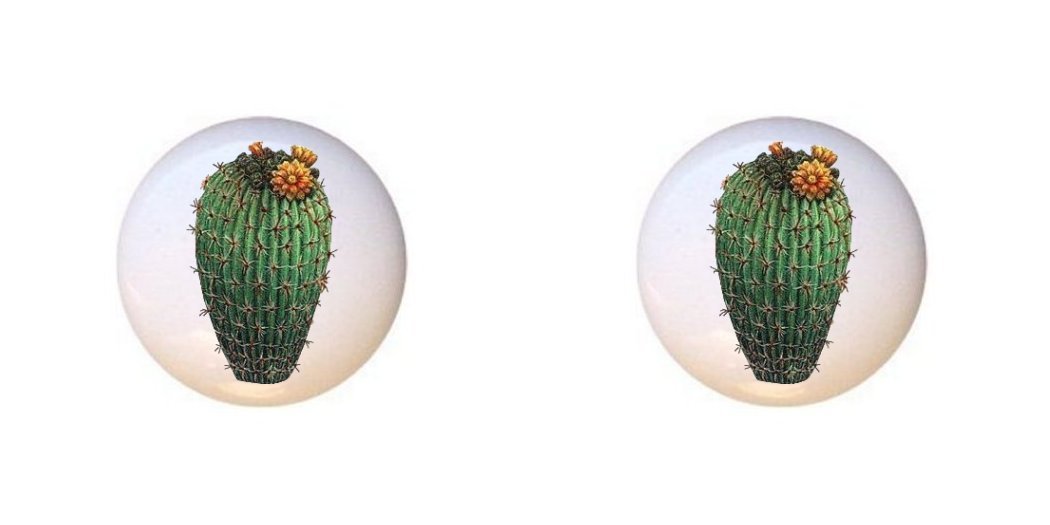 Amazon Com Set Of 2 Knobs Cactus Southwest Southwestern