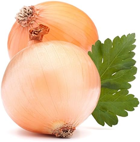 Cebolla