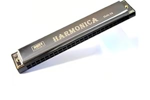 24 Hole Double Row Metal Harmonica Key of C - Polyphony Diatonic Mouth Organ with Case, for Blues Folk Jazz-Silver
