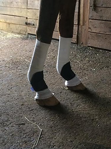 5 Equipro+Bed+Sore+Boots