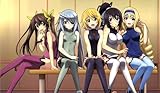 289 Infinite Stratos PLAYMAT INCLUDES ONE EXCLUSIVE GUARDIAN PLAYMAT TUBE - CUSTOM PLAY MAT ANIME PLAYMAT