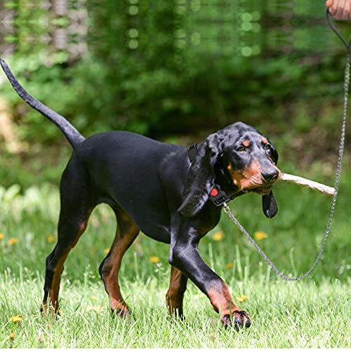 Oracha Heavy Duty Dog Leash - 4mm 4ft w/ Soft Padded Handle, Swivel Clip and Dog Poop Bags, Chew Proof Basic Lead for Small and Medium Pets up to 77lbs, Perfect For Dogs’ Walking and Traveling