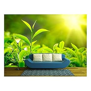 Zen Garden in Black Sand - Removable Wall Mural | Self-Adhesive Large Wallpaper - 66x96 inches