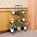 Multilayer Metal Plant Stand 9 Tier Shelf Unit Garden Patio Display Rack Holder for Potted Planters Indoor Outdoorthumb 2