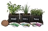Cedar Planter Box - Complete Herb Garden Indoor Kit - Herb Growing Kit - Grow Cooking Herbs Basil, Chives, Thyme, Oregano, Parsley & Cilantro