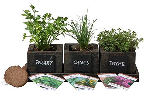 Cedar Planter Box - Complete Herb Garden Indoor Kit - Herb Growing Kit - Grow Cooking Herbs Basil, Chives, Thyme, Oregano, Parsley & Cilantro