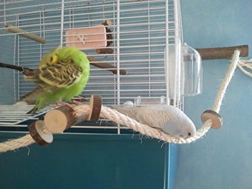 Vogelgaleria Sisal Climbing Rope for Birds with 3 Perches and Tasty Rings to Nibble …, Hazel Brown, Länge ca. 80cm, Seildicke 1cm - Image 5